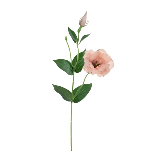 Sztuczna eustoma na piku w kolorze orzecha laskowego 50 cm