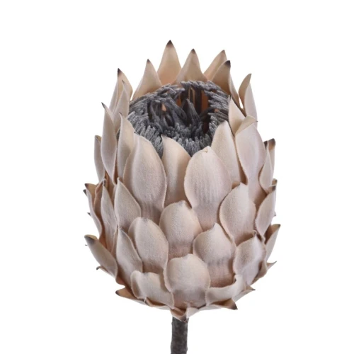 Sztuczny karczoch gałązkowy w kolorze cappuccino 70 cm