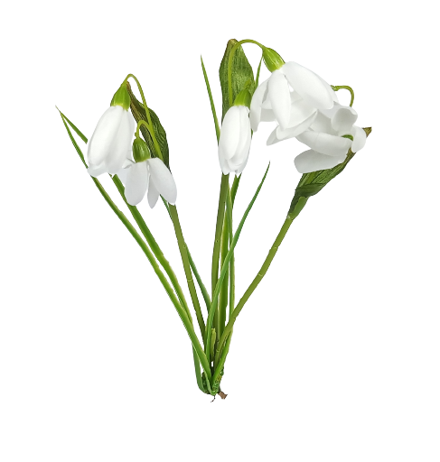 Bukiet przebiśnieg w kolorze białym 30 cm
