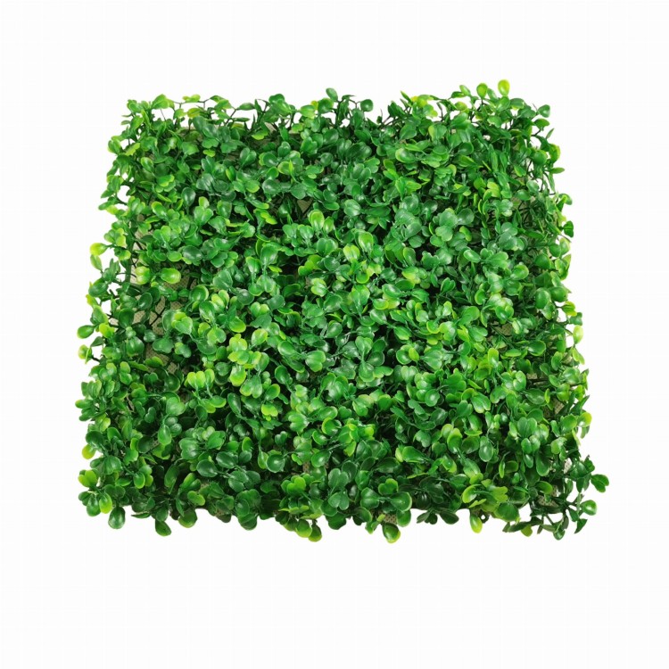 Mata z bukszpanu 28 cm x 28 cm