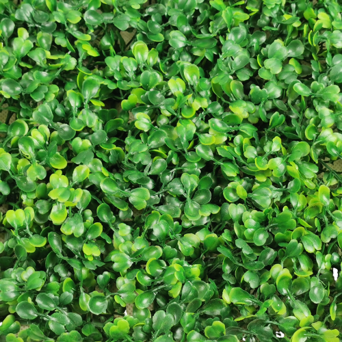 Mata z bukszpanu 60 cm x 40 cm