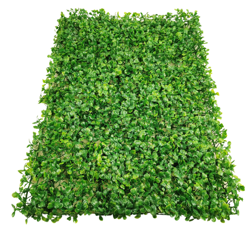 Mata z bukszpanu 60 cm x 40 cm