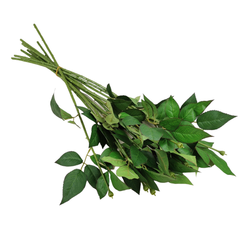 Łodyga do róży w kolorze zielonym 12 sztuk