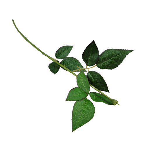 Łodyga do róży w kolorze zielonym 65 cm