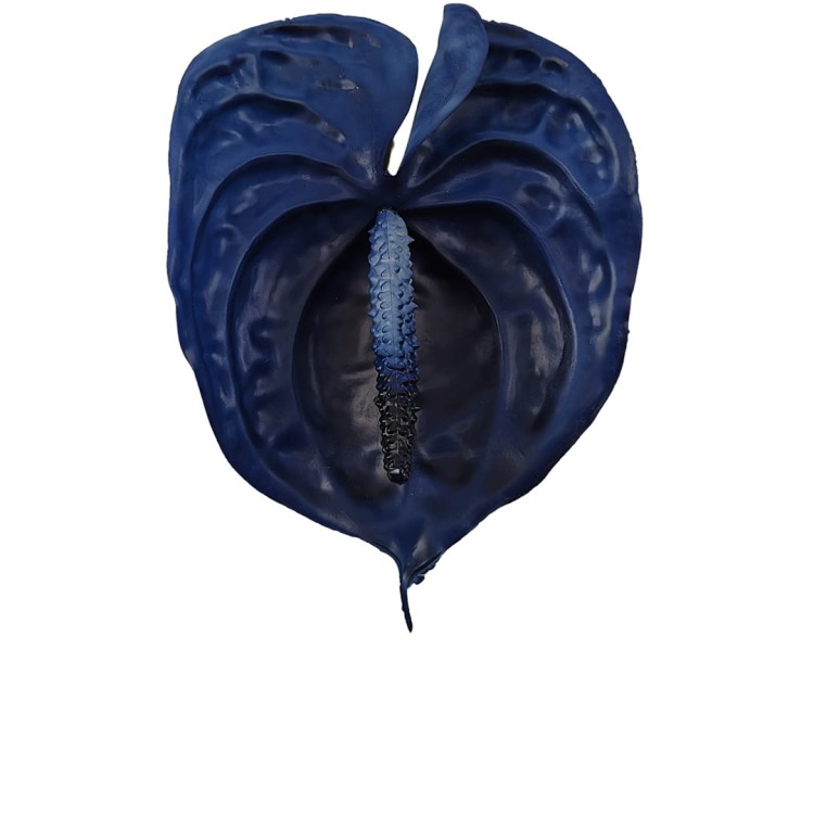 Anturium gumowe w kolorze chabrowym 70 cm