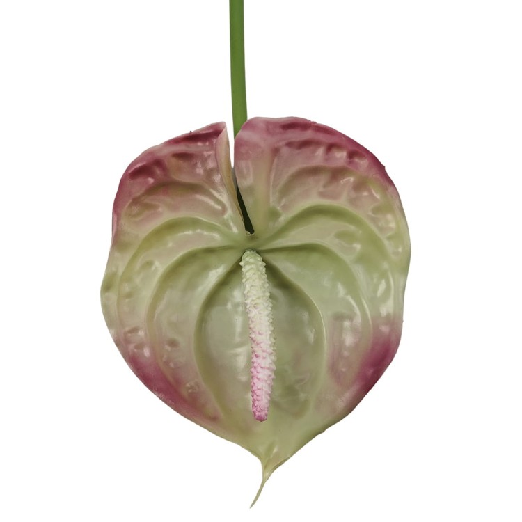 Anturium gumowe w kolorze brudno różowym 70 cm