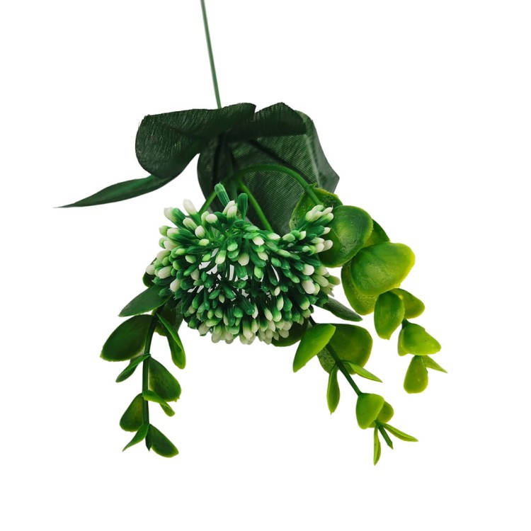 Czosnek z eukaliptusem 37 cm