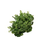 Sztuczne gałązki plastikowe w kolorze zielonym 26 cm