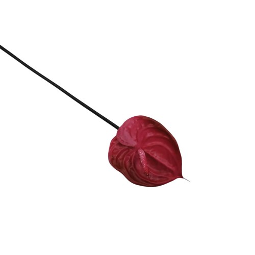 Anturium gumowe w kolorze malinowym 70 cm