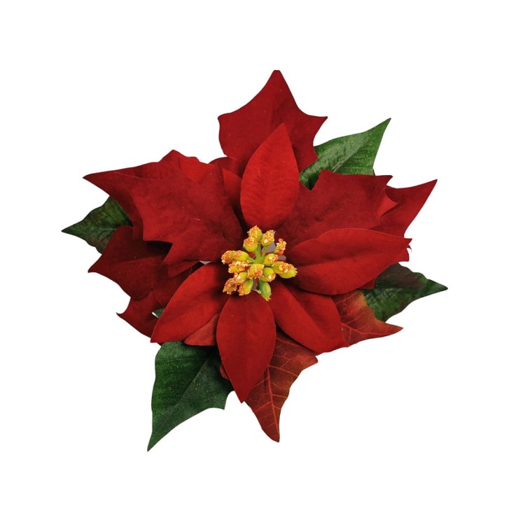 Gwiazda welurowa w kolorze bordowym 18 cm