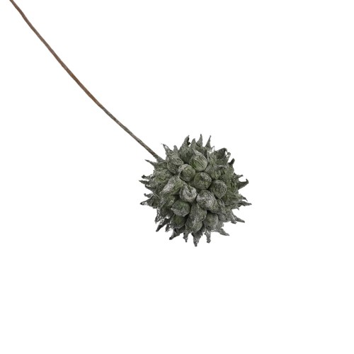 Karczoch omszony w kolorze zielonym 44 cm