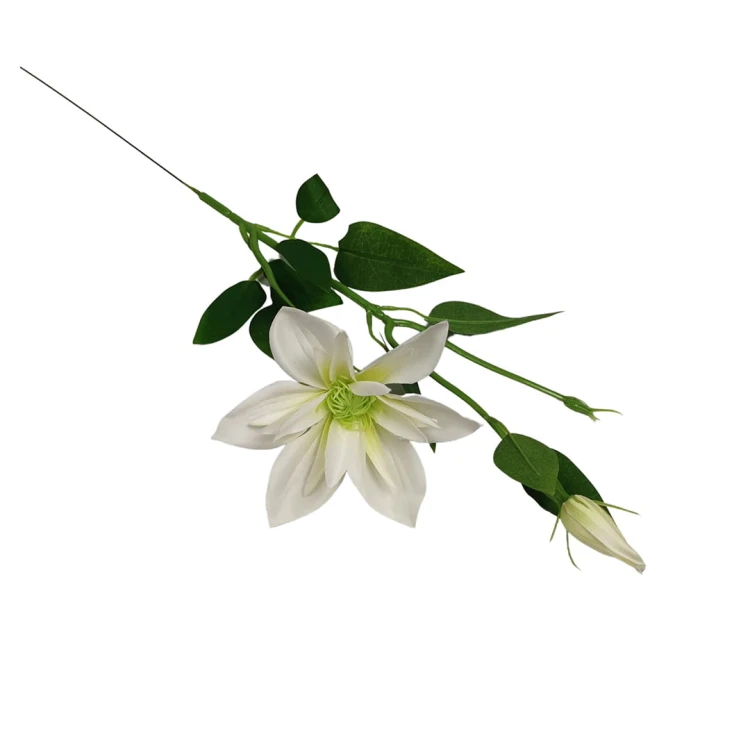 Klematis na piku w kolorze białym 47 cm