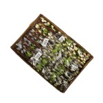 Karton krótkich bazi mix kolorów 30 cm