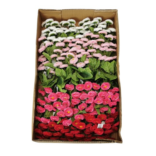 Karton stokrotki krótkiej mix kolorów 22 cm