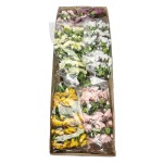 Karton gałązek jabłoni mix kolorów 65 cm