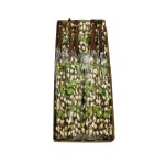 Karton średnich bazi w kolorze kremowym 50 cm