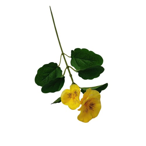 Bratek na piku w kolorze żółtym 34 cm