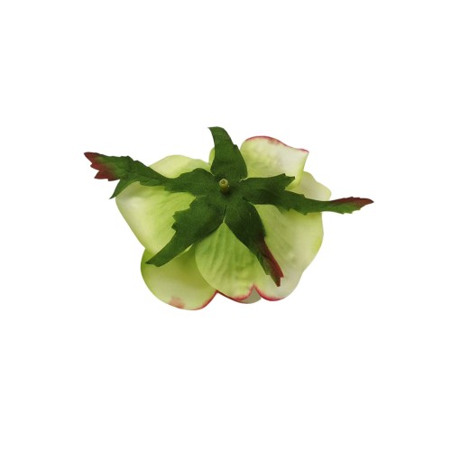 Róża z listkiem w kolorze jasno zielonym 10 cm