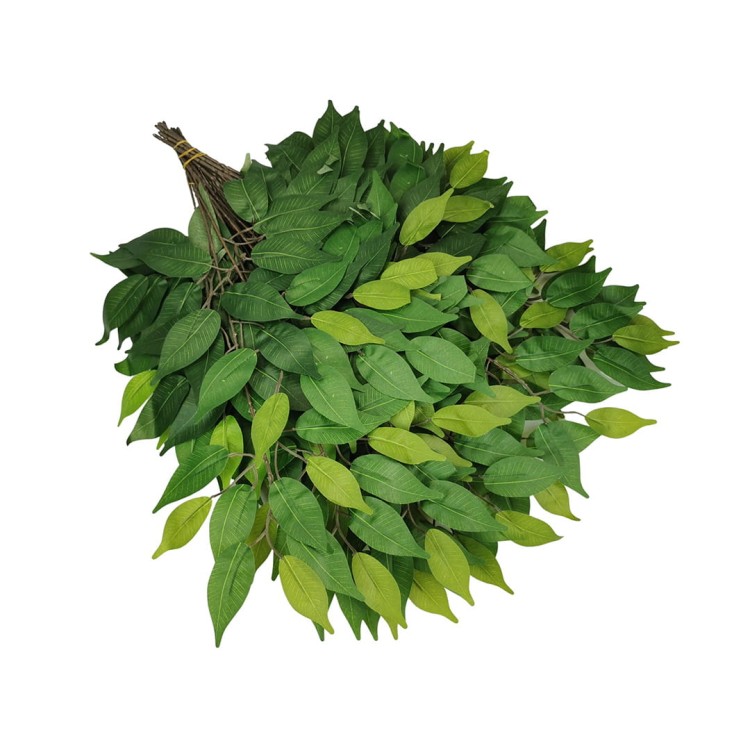 Liść benjamin zielony 60 cm