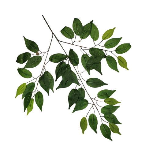 Liść benjamin zielony 60 cm