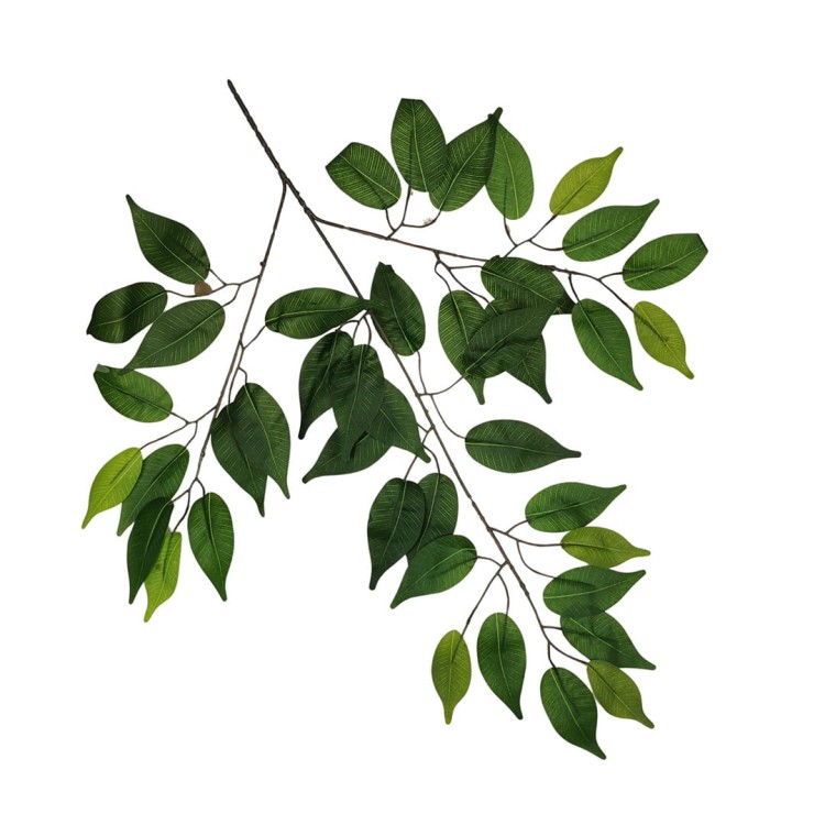 Liść benjamin zielony 60 cm