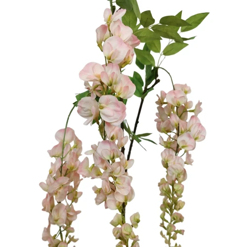 Wisteria w typie groszku w kolorze różowym 160 cm
