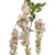 Wisteria w typie groszku w kolorze różowym 160 cm