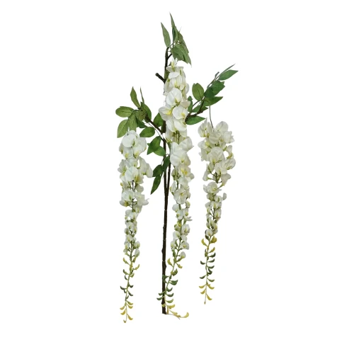 Wisteria w typie groszku w kolorze białym 160 cm