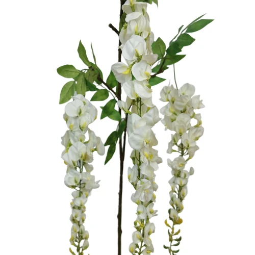 Wisteria w typie groszku w kolorze białym 160 cm