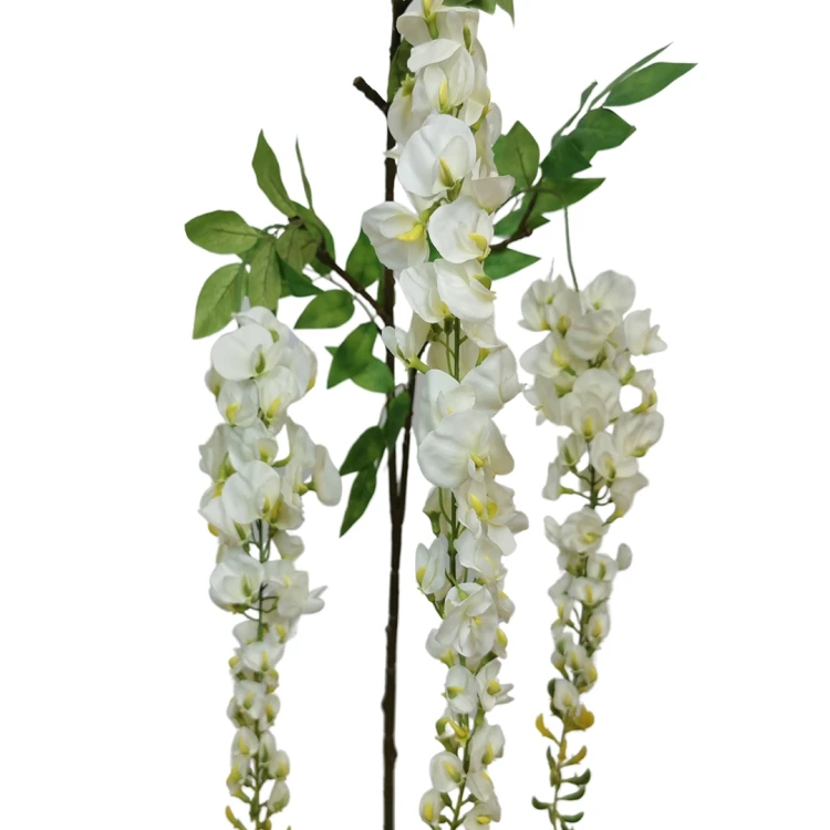 Wisteria w typie groszku w kolorze białym 160 cm