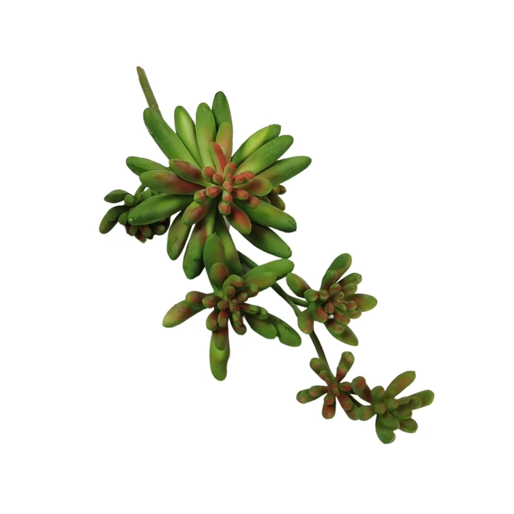 Sukulent w kolorze zielonym z czerwonym środkiem 30 cm