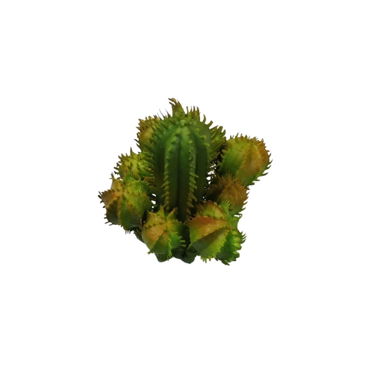 Kaktus w kolorze zielono-pomarańczowym 12 cm