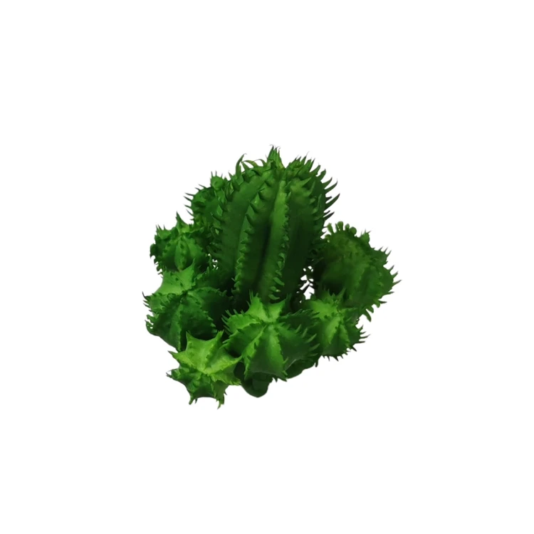 Kaktus w kolorze zielonym 12 cm