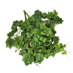 Sztuczny liść winogrono w kolorze jasno zielonym 76 cm