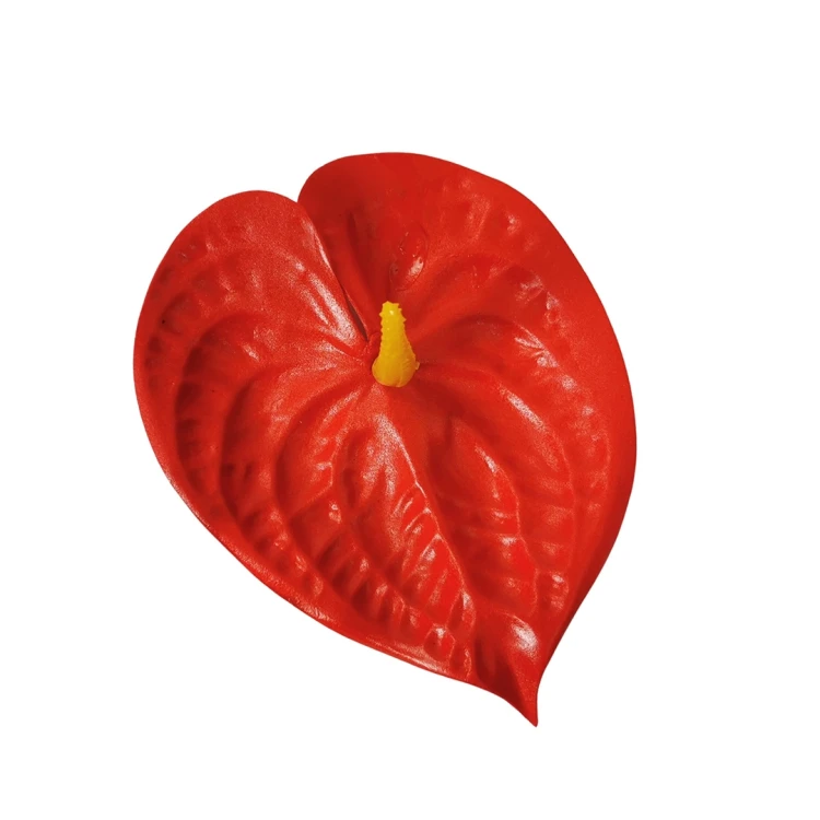 Anturium w kolorze czerwonym 16 cm