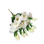 Sztuczna eustoma na piku w kolorze białym 50 cm