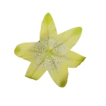 Sztuczna gumowa lilia w kolorze zielonym 20 cm