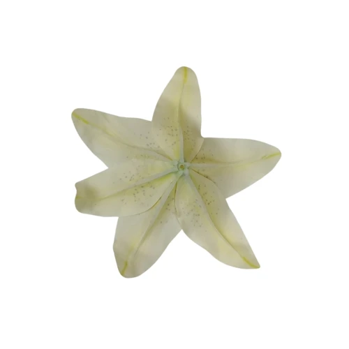 Sztuczna gumowa lilia w kolorze kremowym 20 cm