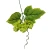Sztuczny chmiel na piku w kolorze zielonym 30 cm
