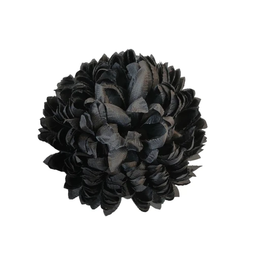 Chryzantema ananas w kolorze czarnym 14 cm