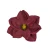 Sztuczna główka, magnolia w kolorze bordowym 19 cm