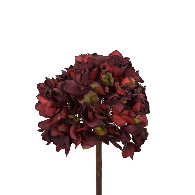 Hortensja w kolorze bordowym 50 cm