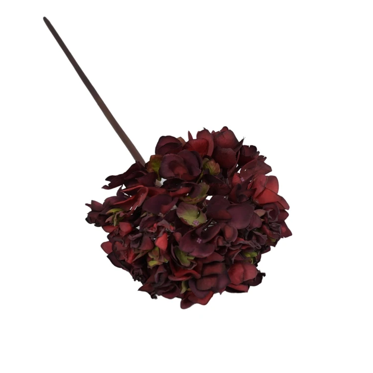 Hortensja w kolorze bordowym 50 cm