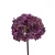 Hortensja w kolorze fioletowym na łodydze 50 cm