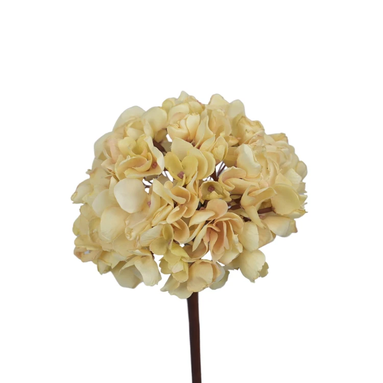 Hortensja w kolorze kremowym na łodydze 50 cm