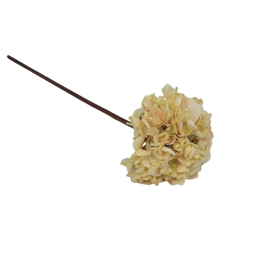 Hortensja w kolorze kremowym na łodydze 50 cm