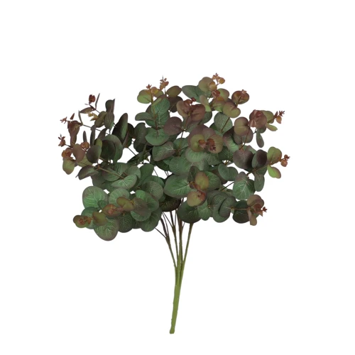 Eukaliptus w kolorze zielonym z bordowymi końcówkami 47 cm