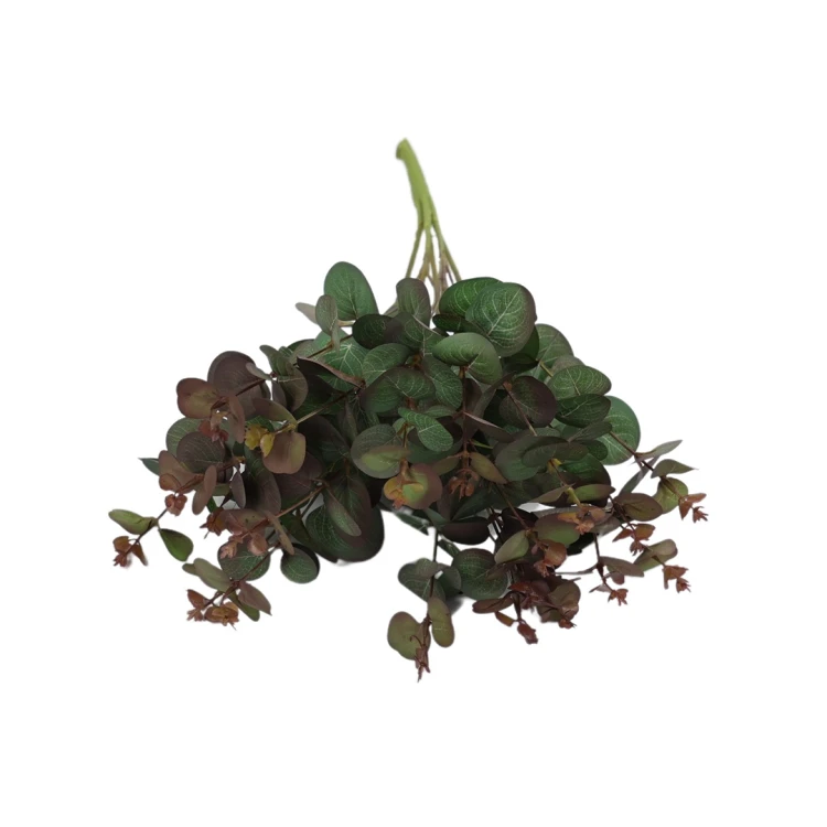 Eukaliptus w kolorze zielonym z bordowymi końcówkami 47 cm