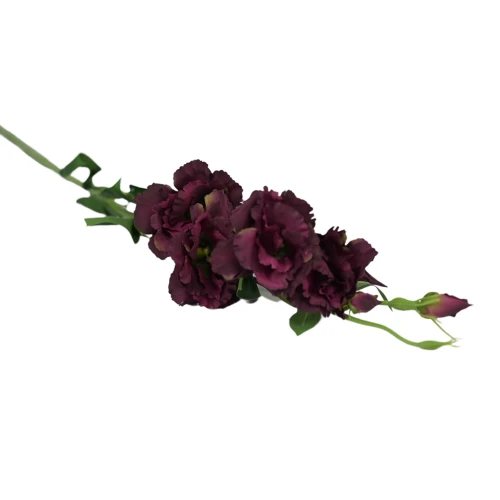 Eustoma w kolorze bordowo zielonym 84 cm