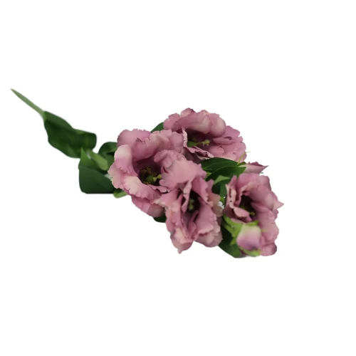 Sztuczna eustoma w kolorze fiołkowo-różowym 84 cm